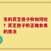 生的灵芝孢子粉如何吃？灵芝孢子粉正确食用的用法