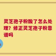 灵芝孢子粉酸了怎么处理？修正灵芝孢子粉靠谱吗