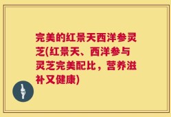 完美的红景天西洋参灵芝(红景天、西洋参与灵芝完美配比，营养滋补又健康)