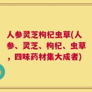 人参灵芝枸杞虫草(人参、灵芝、枸杞、虫草，四味药材集大成者)