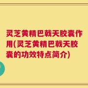 灵芝黄精巴戟天胶囊作用(灵芝黄精巴戟天胶囊的功效特点简介)
