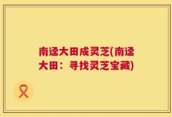 南迳大田成灵芝(南迳大田：寻找灵芝宝藏)