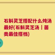 石斛灵芝搭配什么炖汤最好(石斛灵芝汤｜菌类最佳搭档)