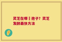 灵芝在哪噴孢子？灵芝发酵最快方法