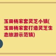 玉田杨家套灵芝小镇(玉田杨家套打造灵芝生态旅游示范镇)
