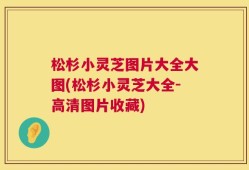 松杉小灵芝图片大全大图(松杉小灵芝大全-高清图片收藏)