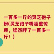 一百多一斤的灵芝孢子粉(灵芝孢子粉超重惊现，猛然胖了一百多一斤！)