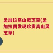 孟加拉高山灵芝草(孟加拉国发现珍贵高山灵芝草)