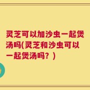 灵芝可以加沙虫一起煲汤吗(灵芝和沙虫可以一起煲汤吗？)