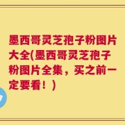 墨西哥灵芝孢子粉图片大全(墨西哥灵芝孢子粉图片全集，买之前一定要看！)