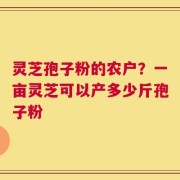 灵芝孢子粉的农户？一亩灵芝可以产多少斤孢子粉