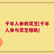 千年人参救灵芝(千年人参与灵芝相助)