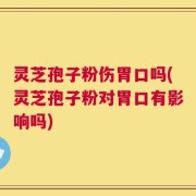 灵芝孢子粉伤胃口吗(灵芝孢子粉对胃口有影响吗)