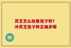 灵芝怎么收集孢子粉？冲灵芝孢子粉正确步骤