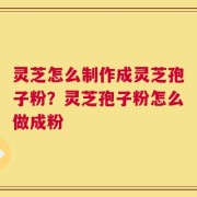 灵芝怎么制作成灵芝孢子粉？灵芝孢子粉怎么做成粉