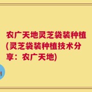 农广天地灵芝袋装种植(灵芝袋装种植技术分享：农广天地)