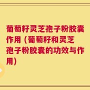 葡萄籽灵芝孢子粉胶囊作用 (葡萄籽和灵芝孢子粉胶囊的功效与作用)