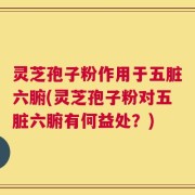 灵芝孢子粉作用于五脏六腑(灵芝孢子粉对五脏六腑有何益处？)