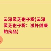 云深灵芝孢子粉(云深灵芝孢子粉：滋补健康的良品)