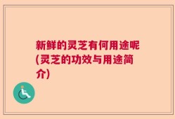 新鲜的灵芝有何用途呢(灵芝的功效与用途简介)