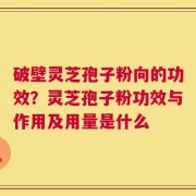 破壁灵芝孢子粉向的功效？灵芝孢子粉功效与作用及用量是什么