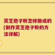 灵芝孢子粉怎样做成的(制作灵芝孢子粉的方法详解)