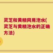 灵芝和黄精同用泡水(灵芝与黄精泡水的正确方法)