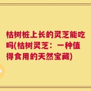 枯树桩上长的灵芝能吃吗(枯树灵芝：一种值得食用的天然宝藏)