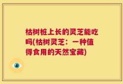 枯树桩上长的灵芝能吃吗(枯树灵芝：一种值得食用的天然宝藏)