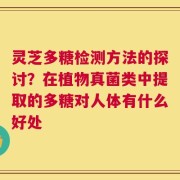 灵芝多糖检测方法的探讨？在植物真菌类中提取的多糖对人体有什么好处