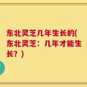 东北灵芝几年生长的(东北灵芝：几年才能生长？)