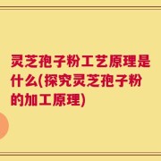 灵芝孢子粉工艺原理是什么(探究灵芝孢子粉的加工原理)
