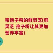 带孢子粉的鲜灵芝(鲜灵芝 孢子粉让其更加营养丰富)
