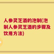 人参灵芝酒的泡制(泡制人参灵芝酒的步骤及饮用方法)