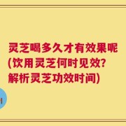 灵芝喝多久才有效果呢(饮用灵芝何时见效？解析灵芝功效时间)