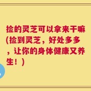 捡的灵芝可以拿来干嘛(捡到灵芝，好处多多，让你的身体健康又养生！)