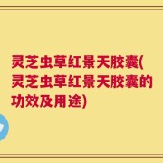 灵芝虫草红景天胶囊(灵芝虫草红景天胶囊的功效及用途)