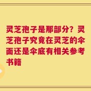 灵芝孢子是那部分？灵芝孢子究竟在灵芝的伞面还是伞底有相关参考书籍