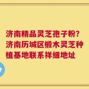 济南精品灵芝孢子粉？济南历城区椴木灵芝种植基地联系祥细地址