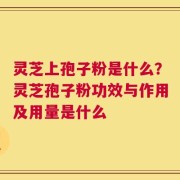 灵芝上孢子粉是什么？灵芝孢子粉功效与作用及用量是什么