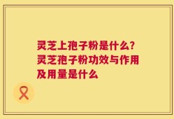 灵芝上孢子粉是什么？灵芝孢子粉功效与作用及用量是什么