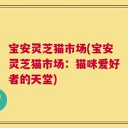 宝安灵芝猫市场(宝安灵芝猫市场：猫咪爱好者的天堂)