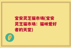 宝安灵芝猫市场(宝安灵芝猫市场：猫咪爱好者的天堂)