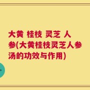 大黄 桂枝 灵芝 人参(大黄桂枝灵芝人参汤的功效与作用)