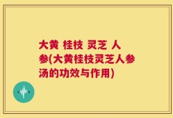 大黄 桂枝 灵芝 人参(大黄桂枝灵芝人参汤的功效与作用)