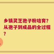 乡镇灵芝孢子粉培育？从孢子到成品的全过程？