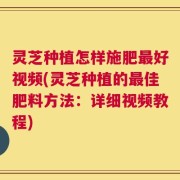 灵芝种植怎样施肥最好视频(灵芝种植的最佳肥料方法：详细视频教程)
