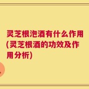 灵芝根泡酒有什么作用(灵芝根酒的功效及作用分析)