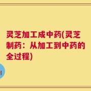 灵芝加工成中药(灵芝制药：从加工到中药的全过程)