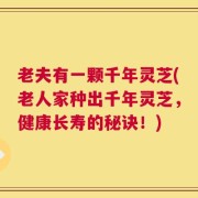 老夫有一颗千年灵芝(老人家种出千年灵芝，健康长寿的秘诀！)